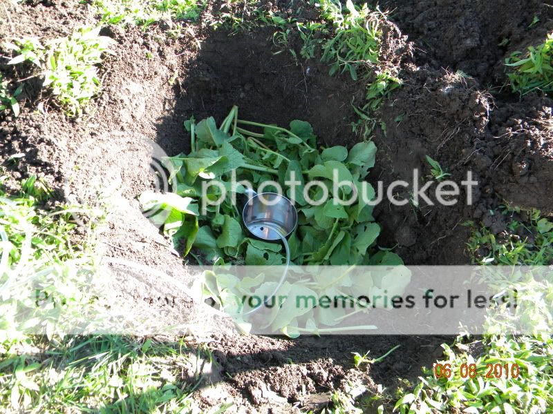 DSCN2278.jpg