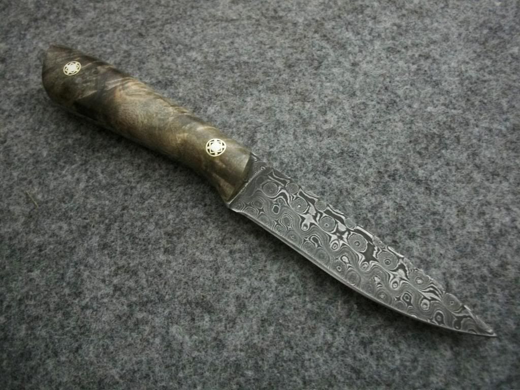 FEATHER064.jpg