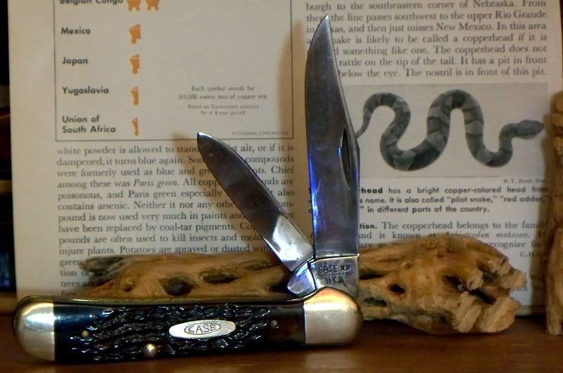 copperhead5.jpg