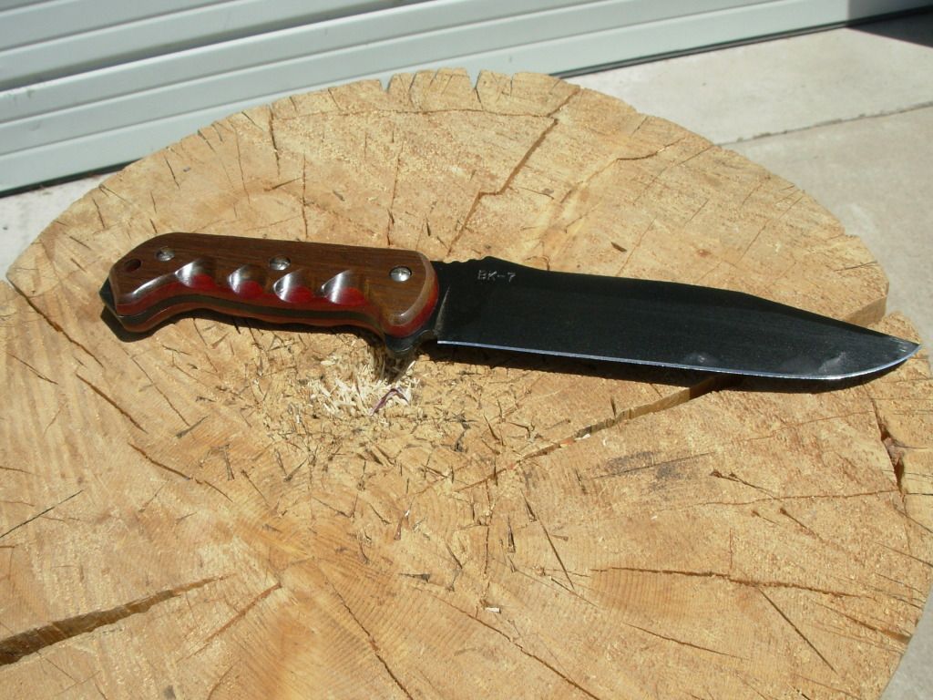 DSCN1599.jpg