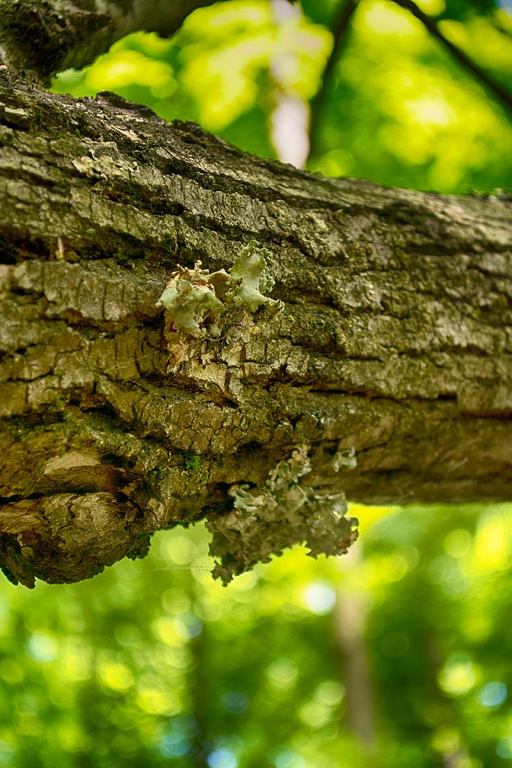 DSC_0094_zpsfmwtqwfr.jpg