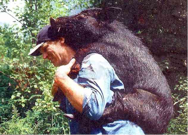 good_will_hunting2.jpg