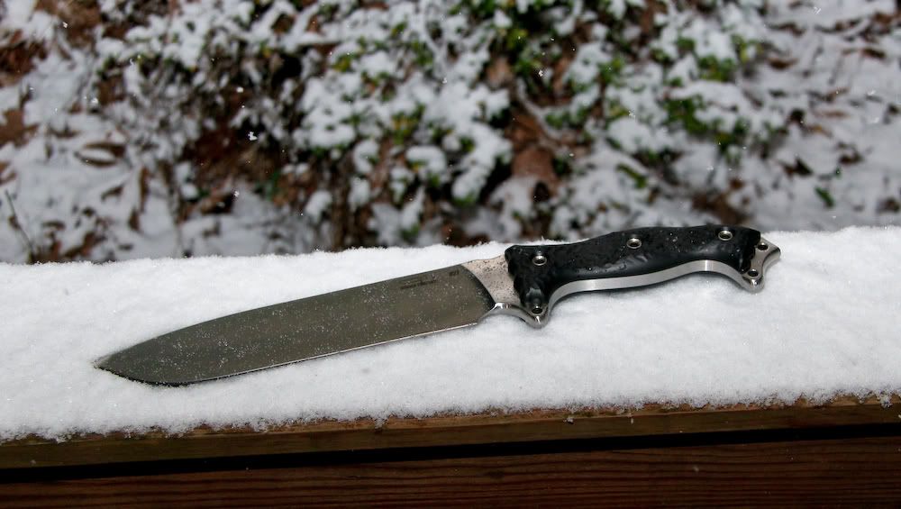 Busse-NMFSHLE27a.jpg