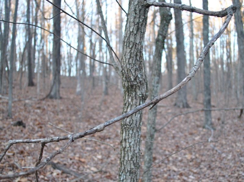 DSC_9502.jpg
