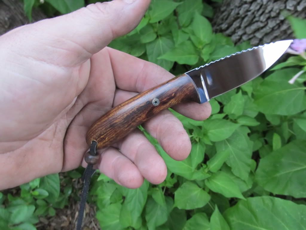 Ironwood52100029.jpg