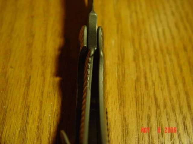 DSC00352-1.jpg