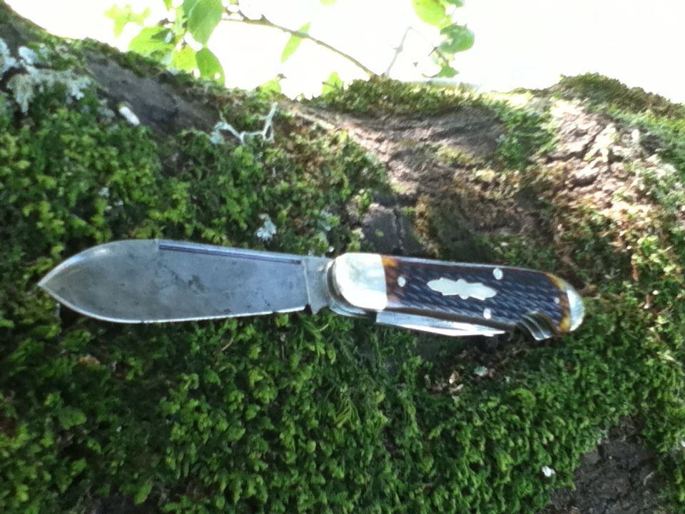 e5710cb3.jpg