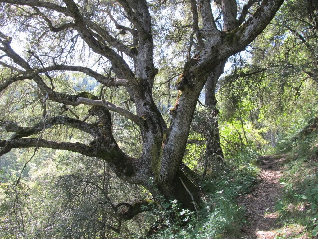 IMG_1279.jpg