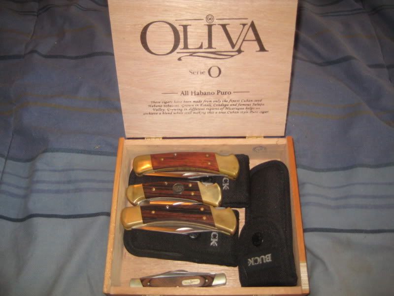 006-9.jpg