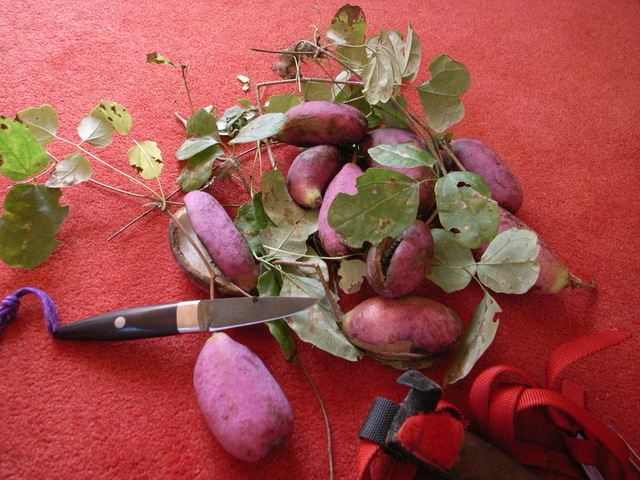 2008.10.19.R0017024.JPG