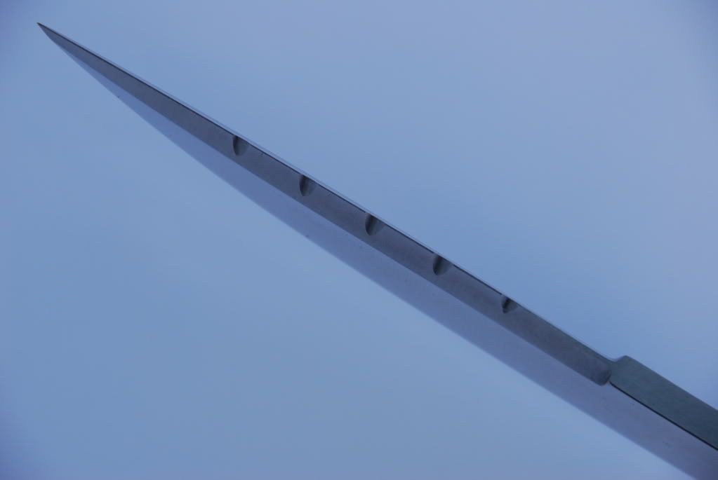 Busse009.jpg