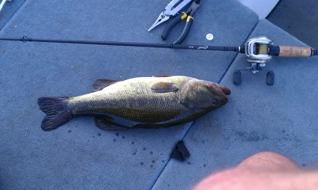 9202012largemouth_zpse5ba7486.jpg