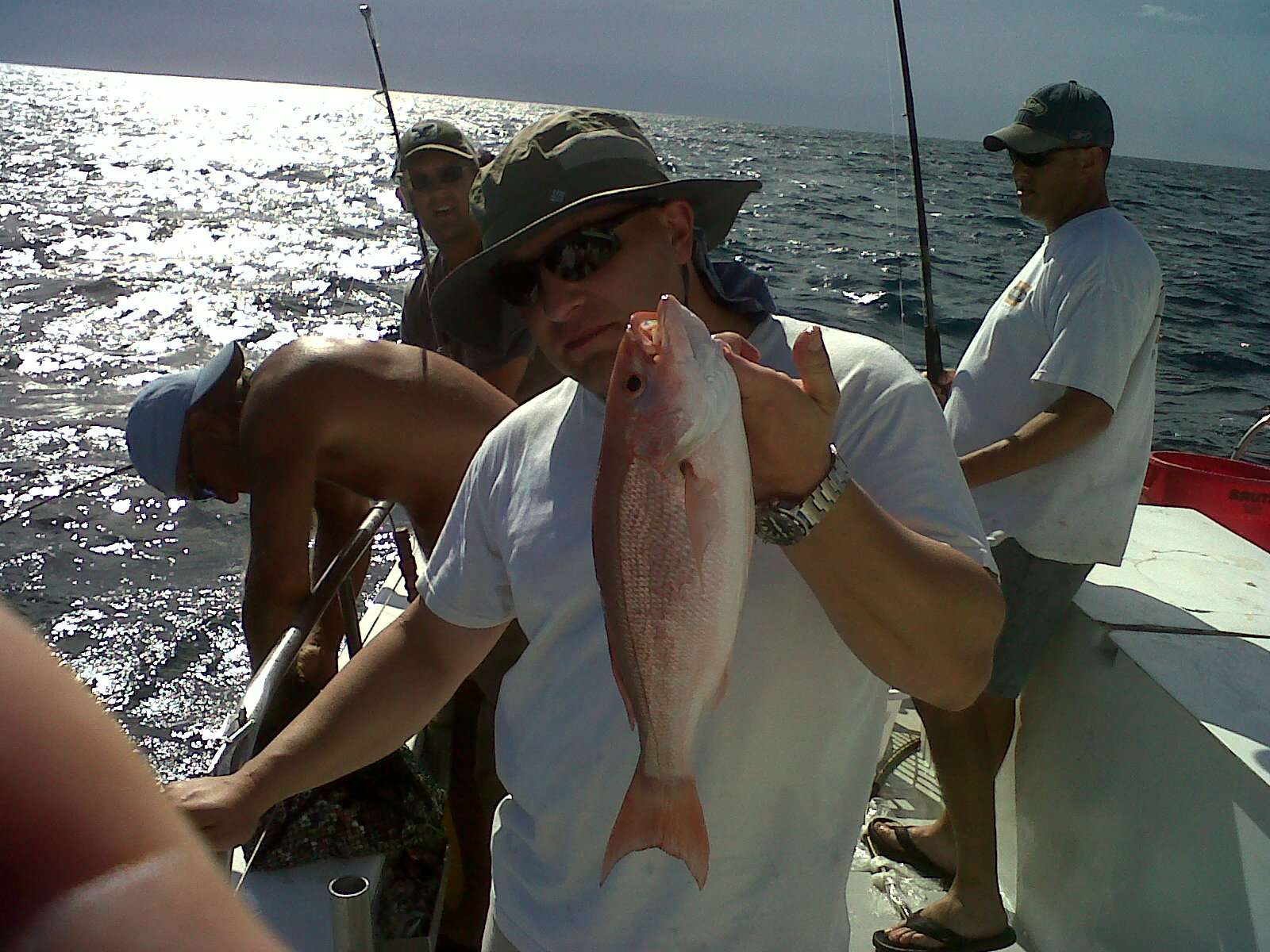 img01331201207110916.jpg