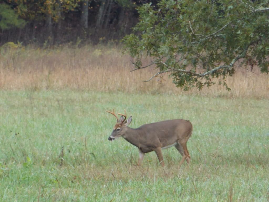CadesCove10-7-12083.jpg