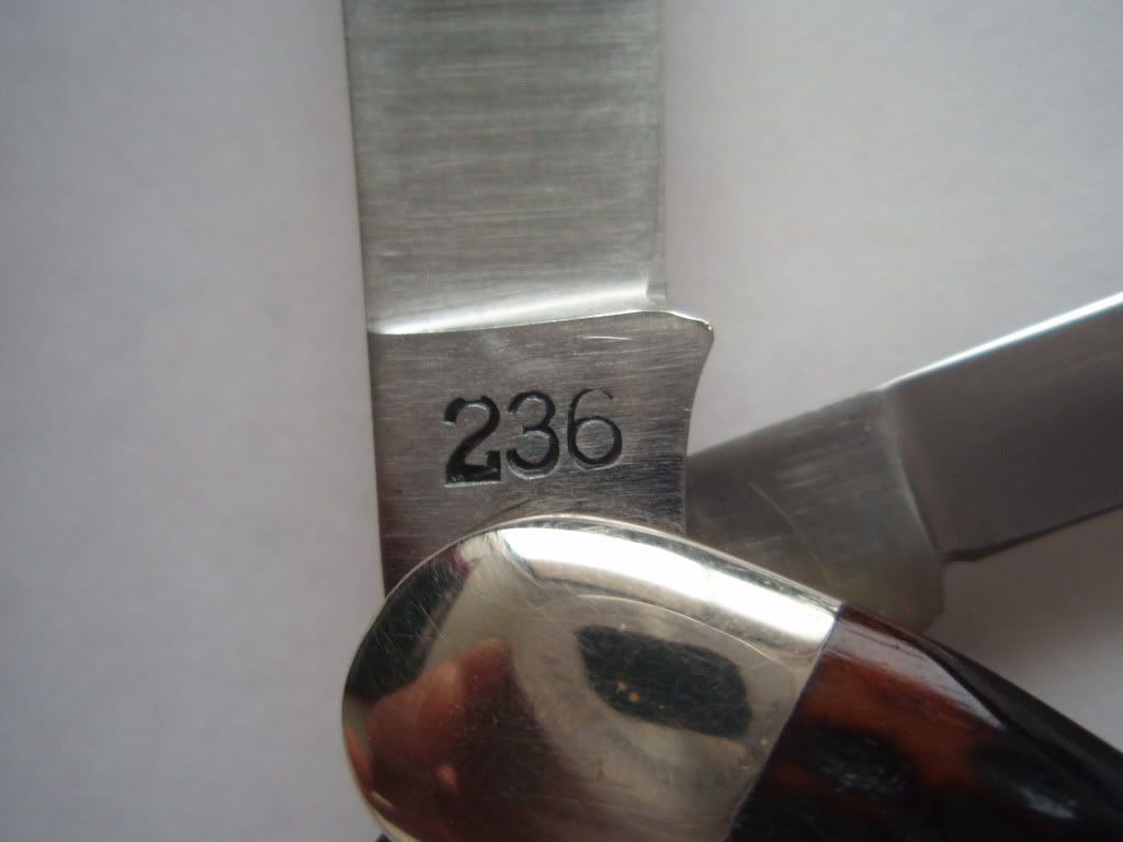 2364.jpg