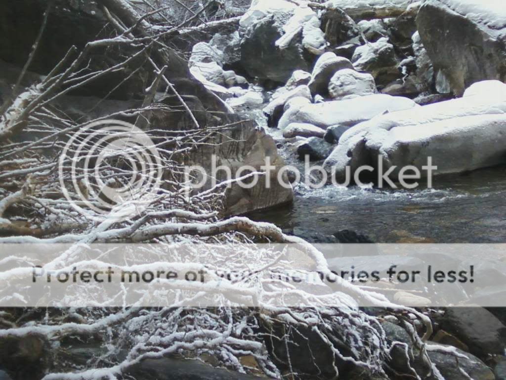 image5-1.jpg