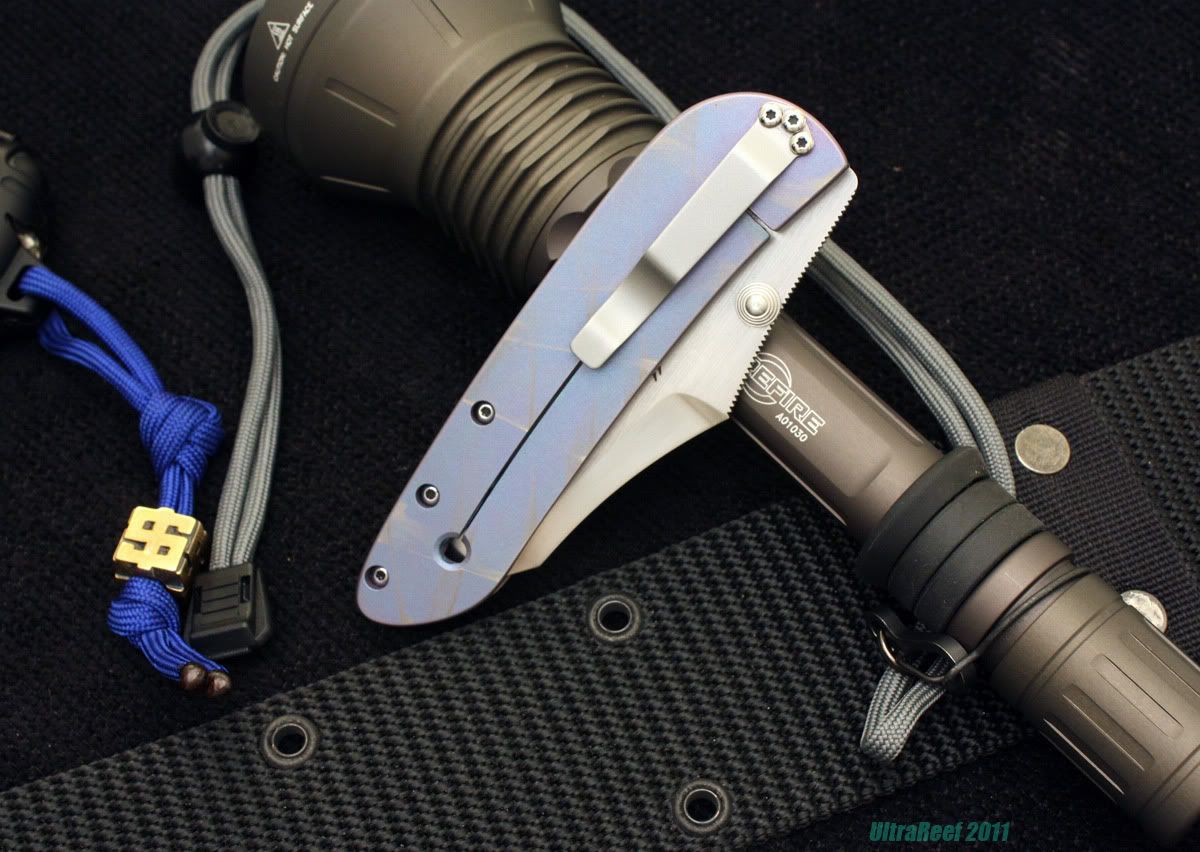 hybrid_2011_03-1b.jpg