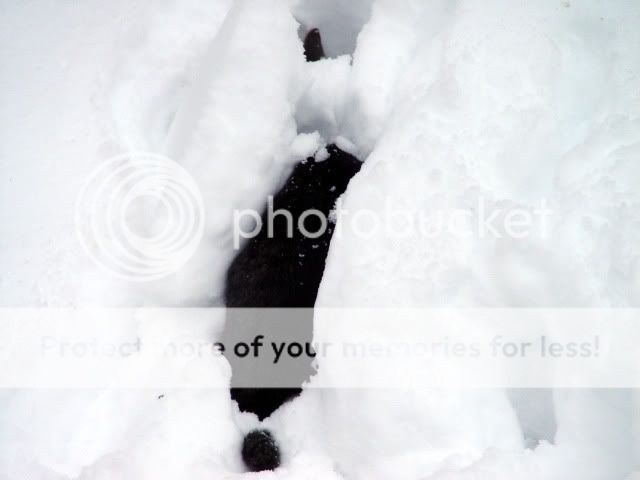 DSC08502.jpg