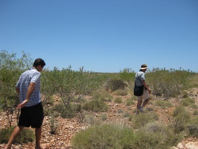 IMG_9855.jpg