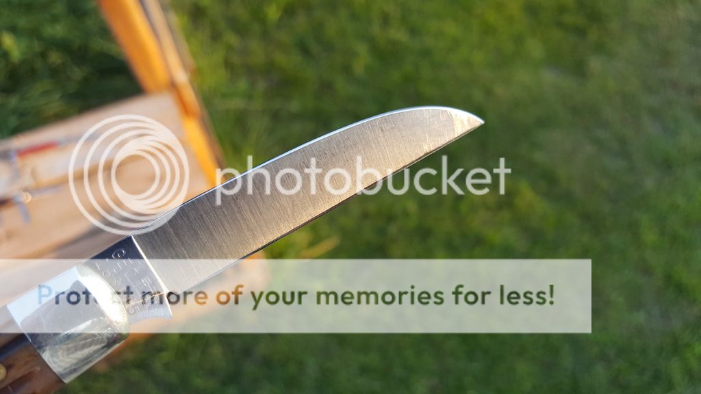 20170714_203712.jpg~original