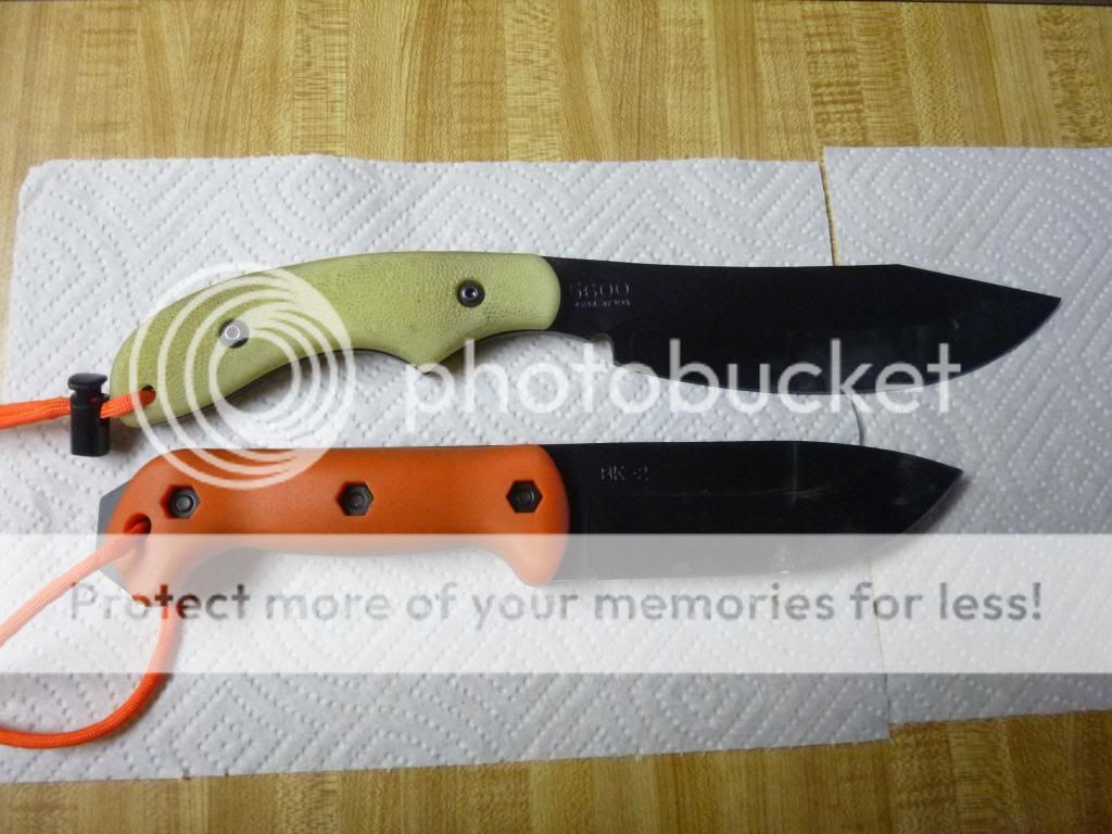 P1010429_zpsbfdf295b.jpg