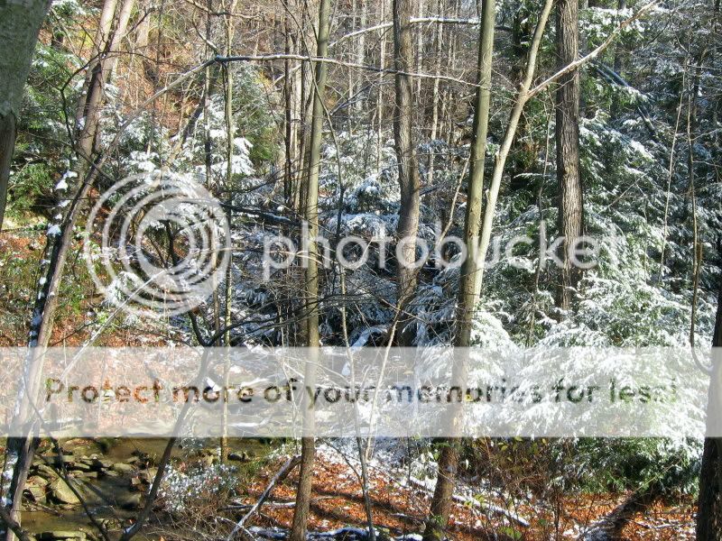 IMG_8684.jpg