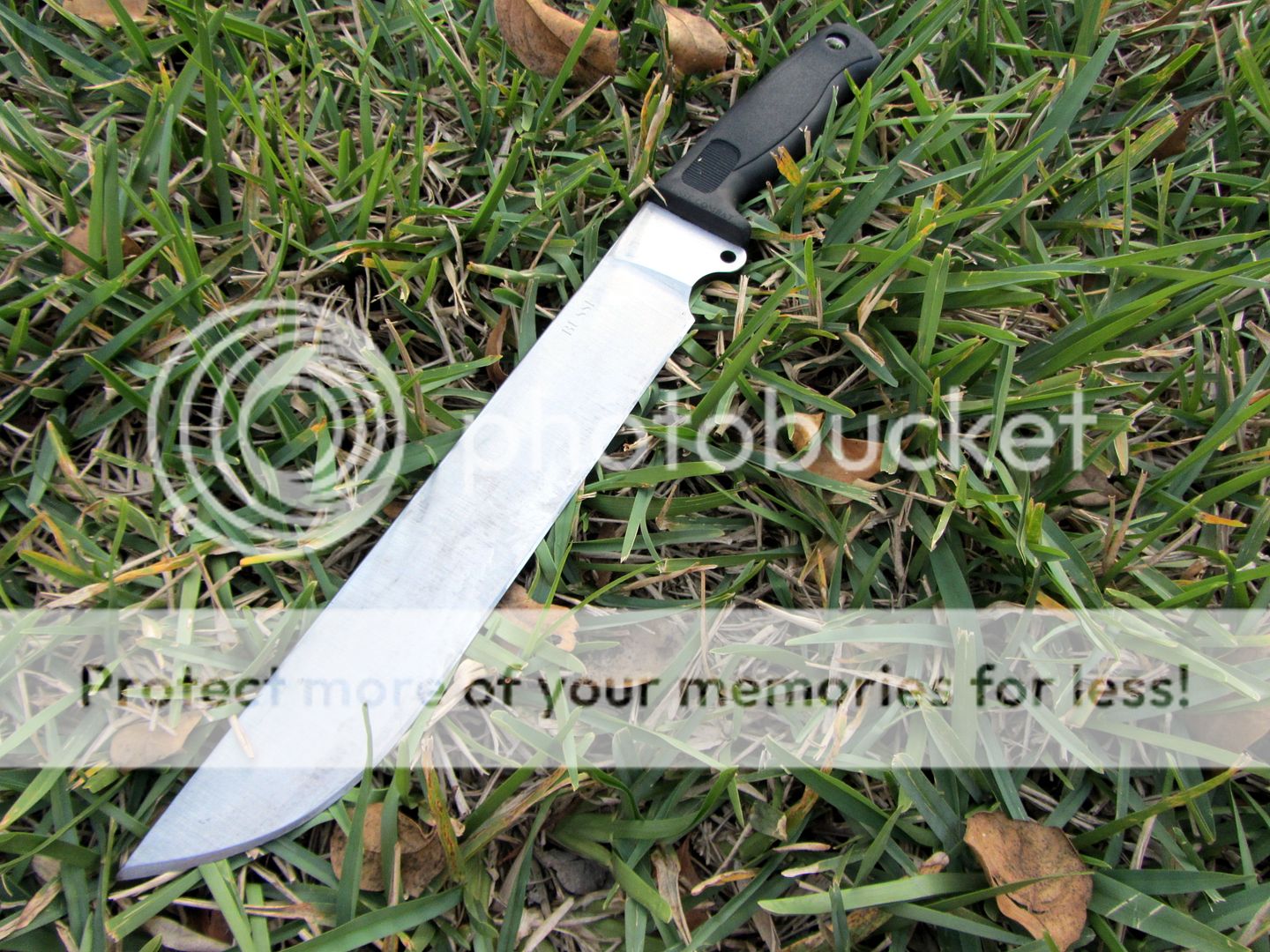 IMG_1183_zps416d86dc.jpg
