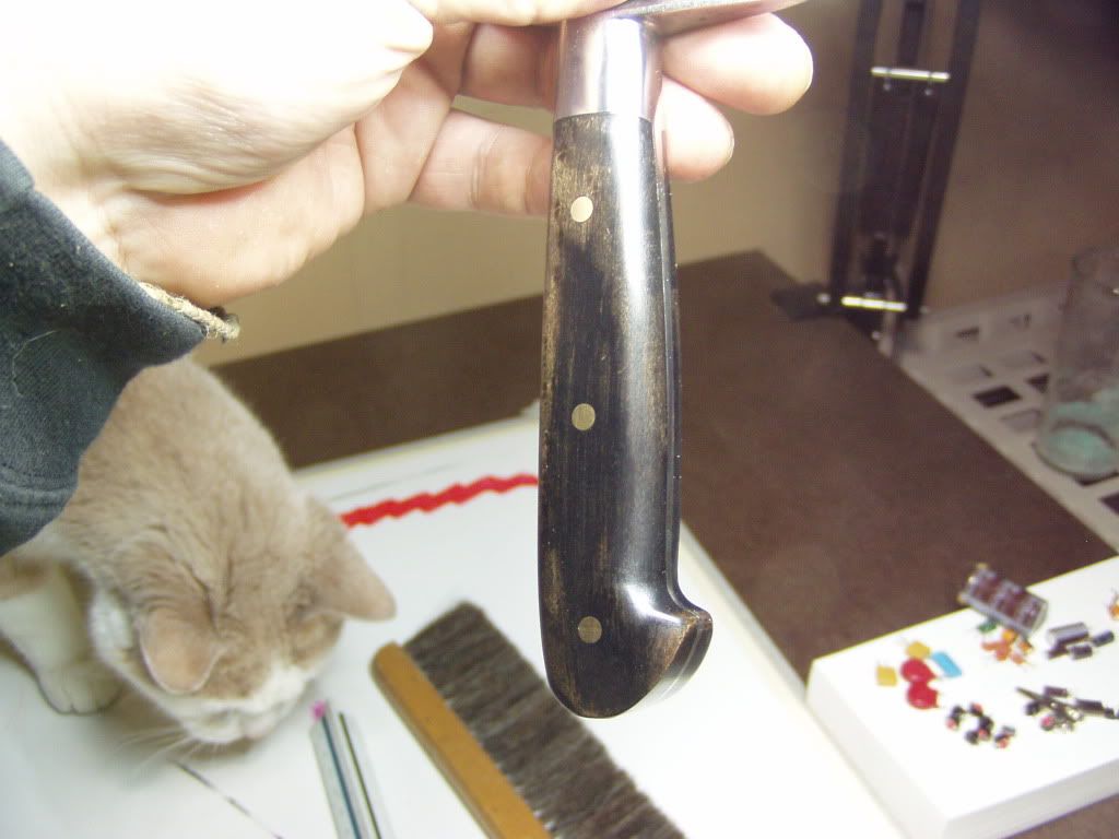 sabatier35.jpg