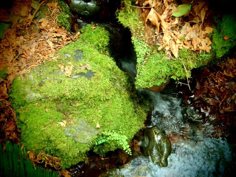 001-5.jpg