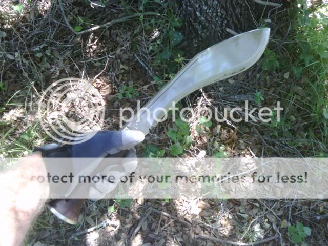 IMG00265.jpg
