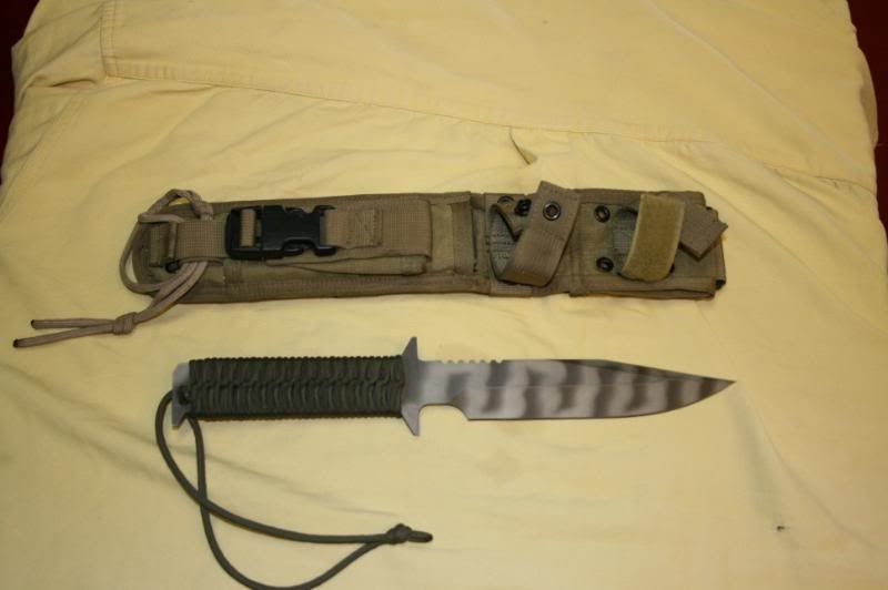 D9002.jpg