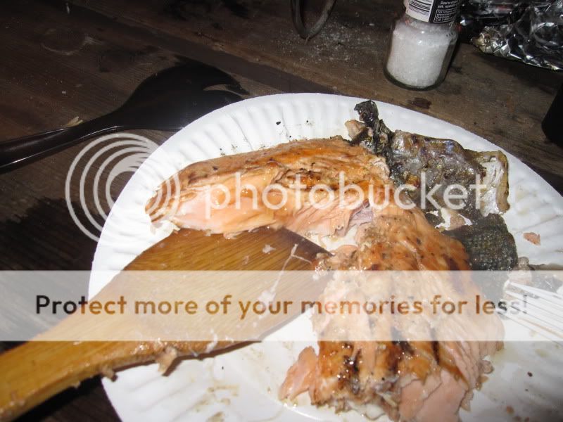 IMG_5329.jpg