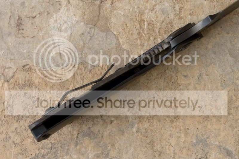StriderSNGLockup.jpg