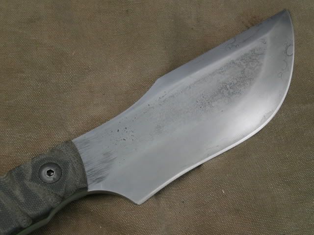 P7241300.jpg