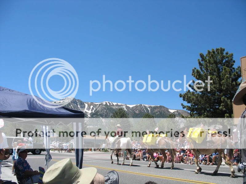 IMG_7952.jpg