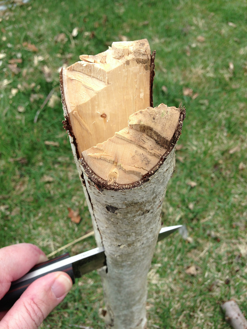 IMG_1799_zpsfd9390ca.png