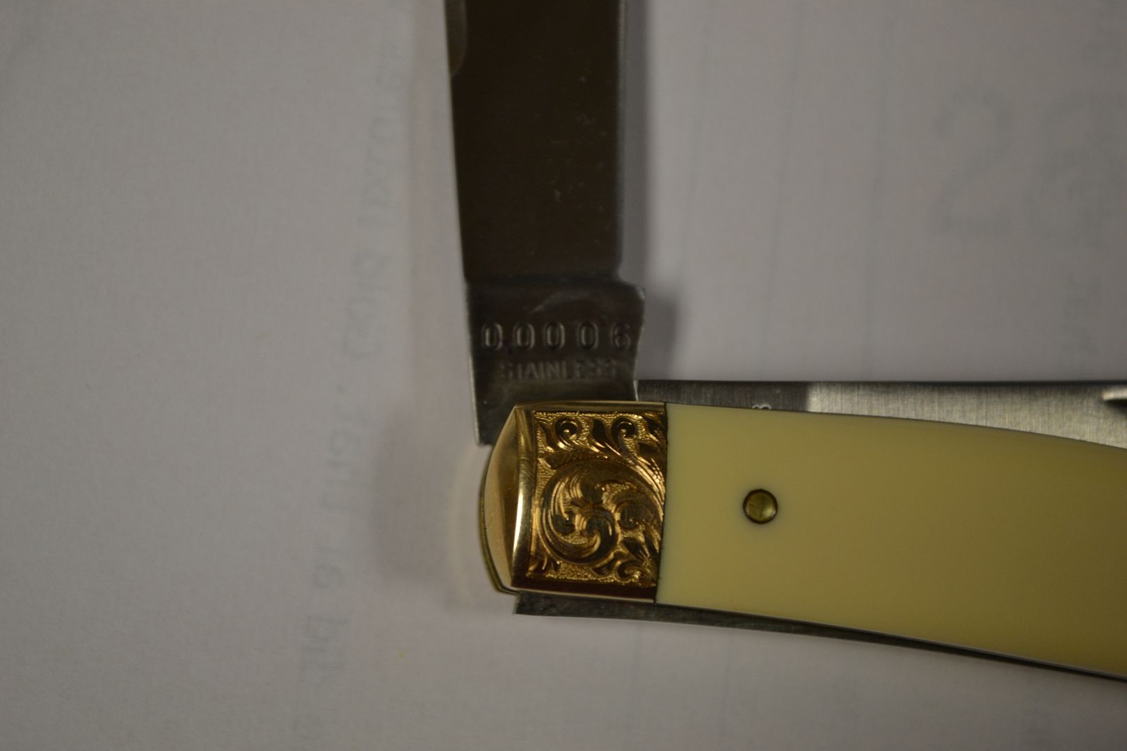 DSC_0147.jpg