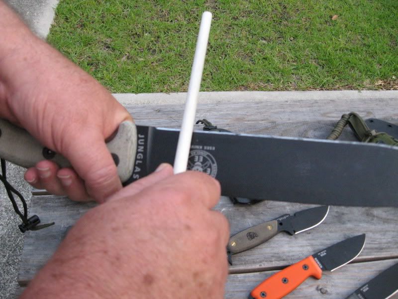 ESEESHARP005.jpg