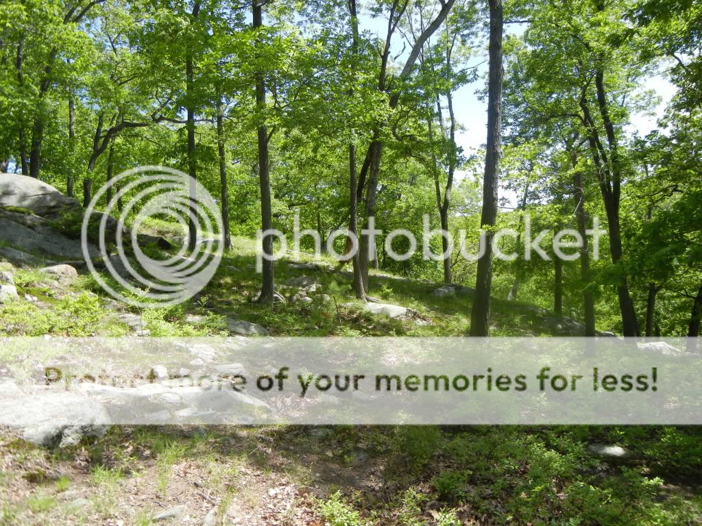 Newpics089.jpg