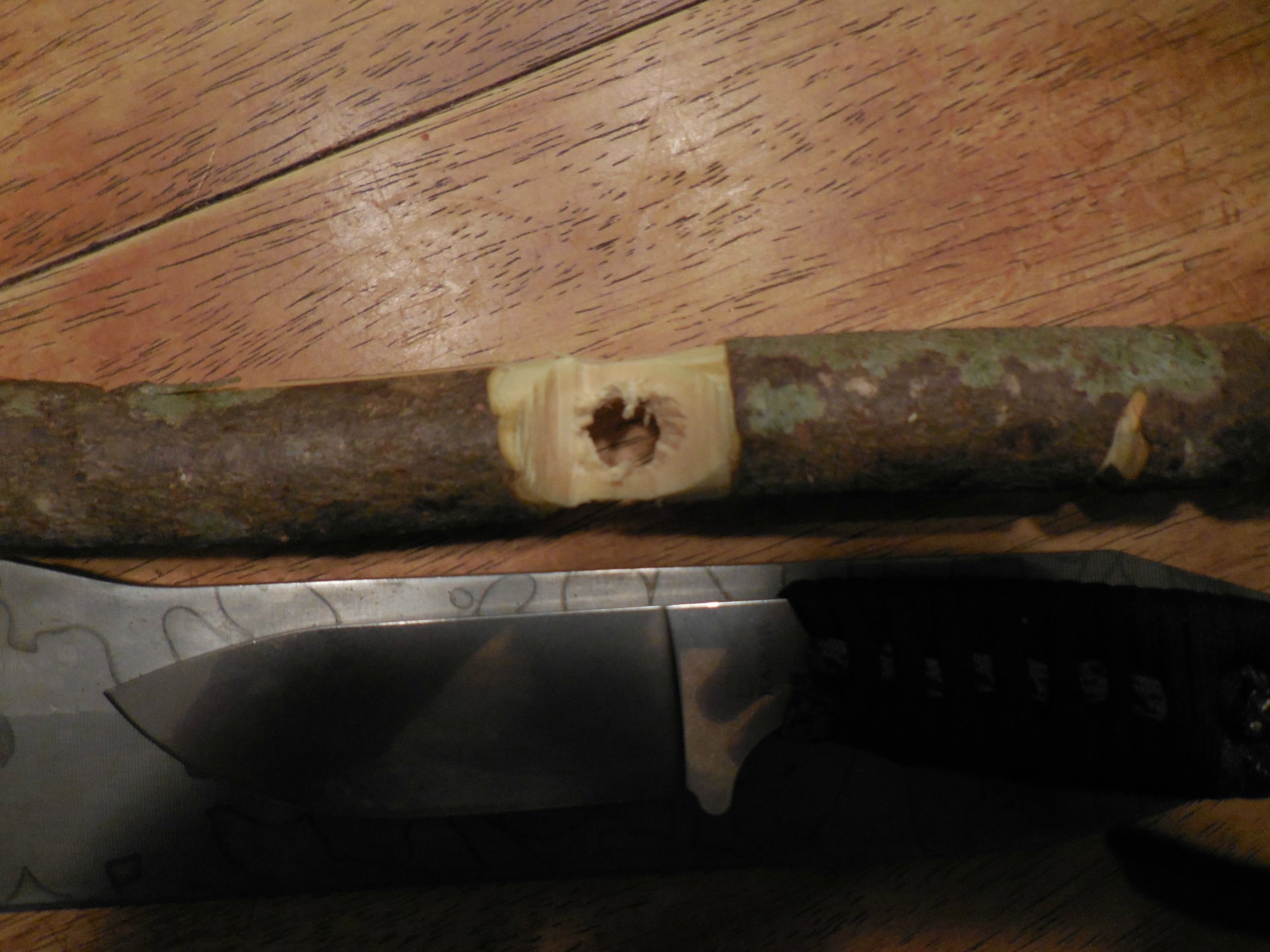 gmT0P67.jpg