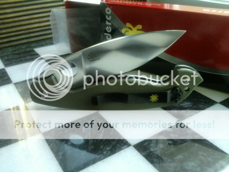 1297205571-picsay.jpg