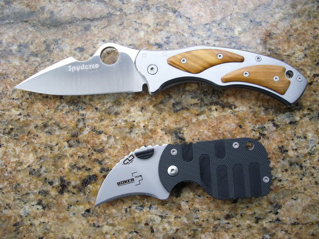 DSCI0381.jpg