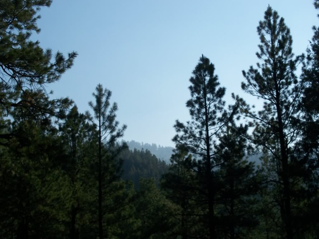 001-16.jpg