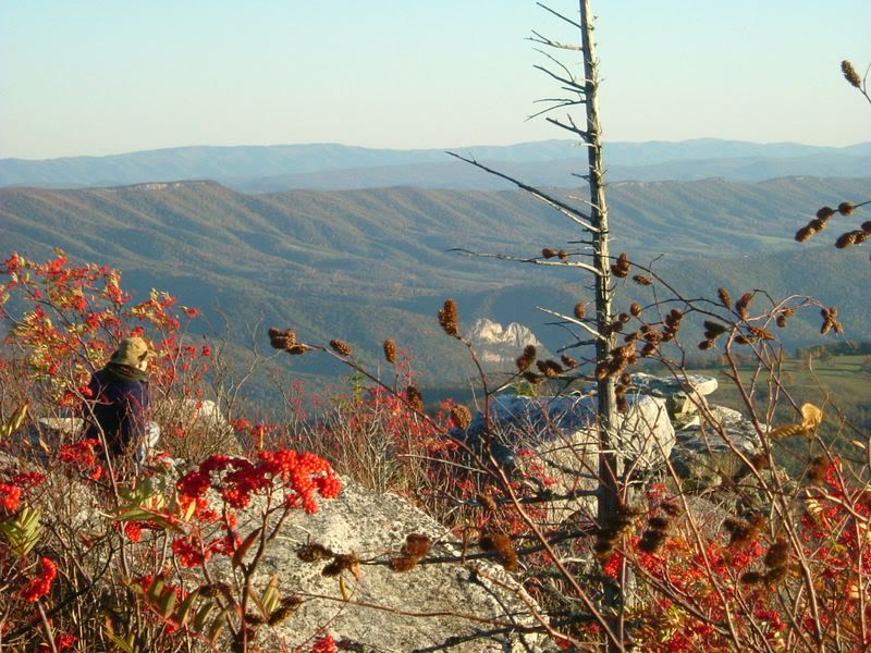 2006_1010Image0029.jpg