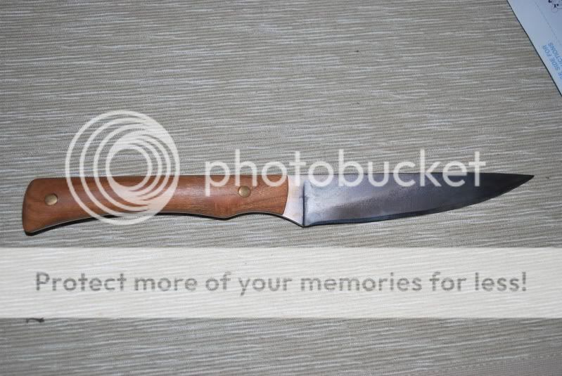 DSC_7341.jpg