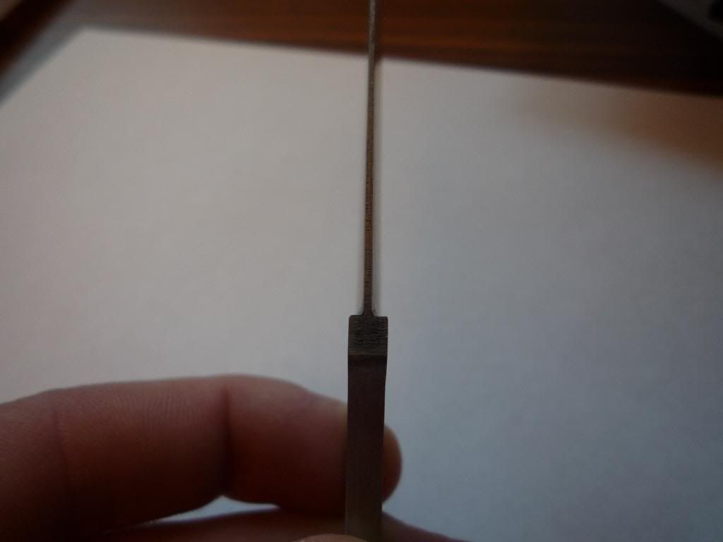 P1000528.jpg
