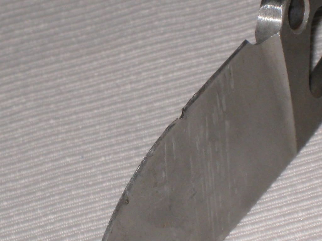 Picture330.jpg