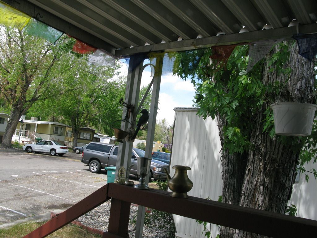 IMG_8844.jpg