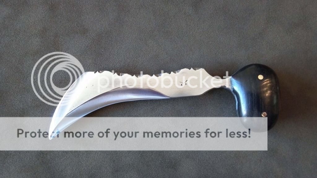 hawkbill12s.jpg