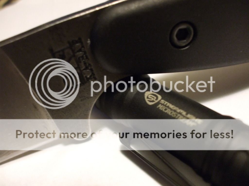 DSCF5955.jpg